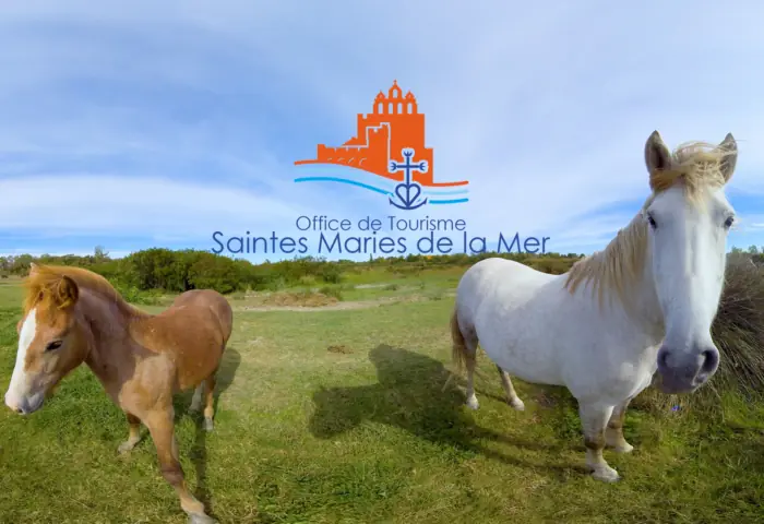 La Camargue